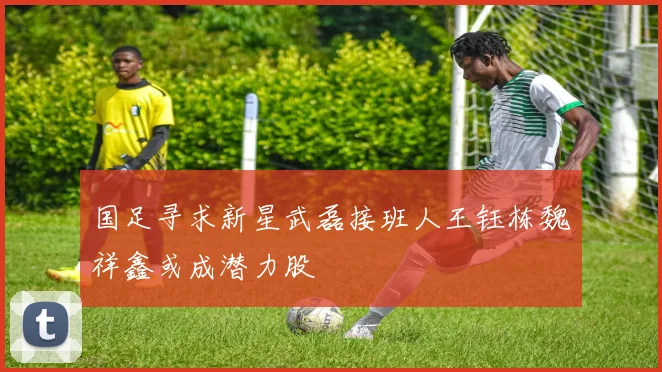 国足寻求新星武磊接班人王钰栋魏祥鑫或成潜力股